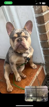 Review from Bailey Moore - Photo 1